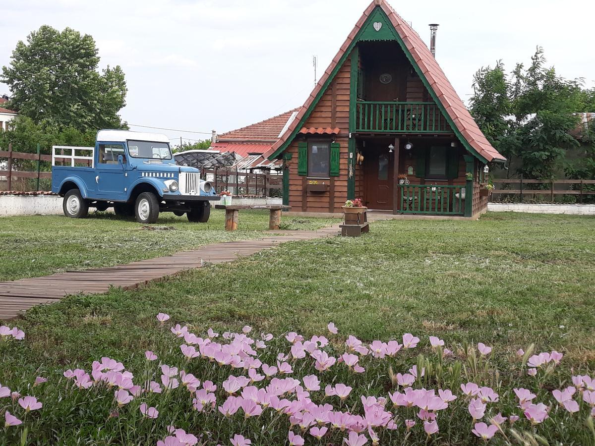 Traditional Guesthouse Трикала Экстерьер фото