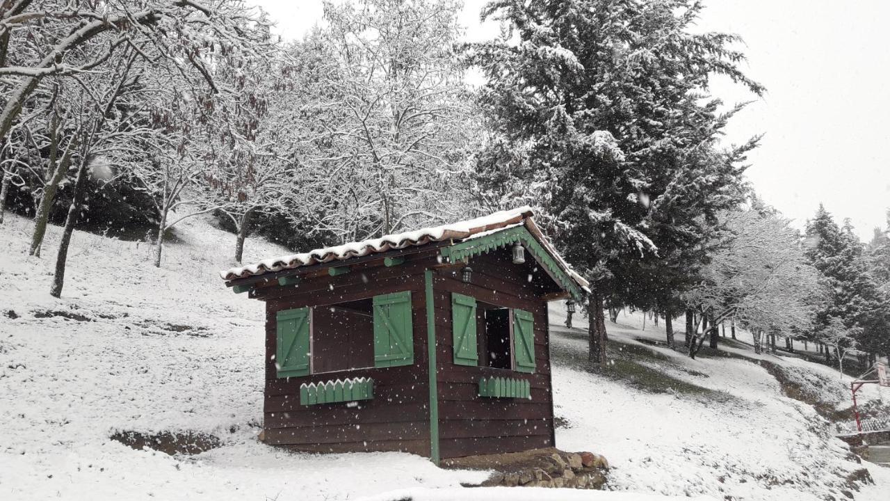 Traditional Guesthouse Трикала Экстерьер фото